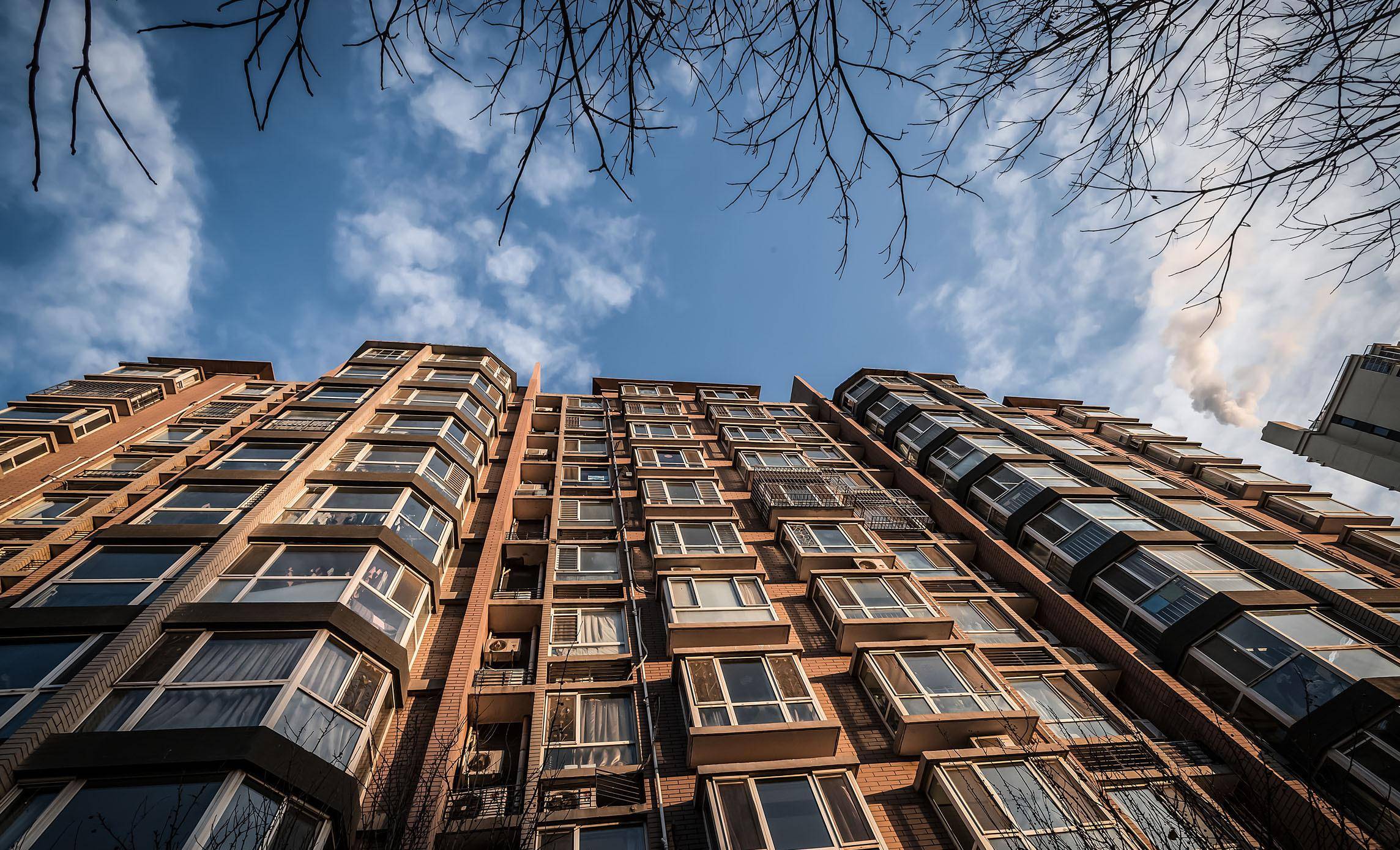 马的阅读及答案   马的阅读及答案